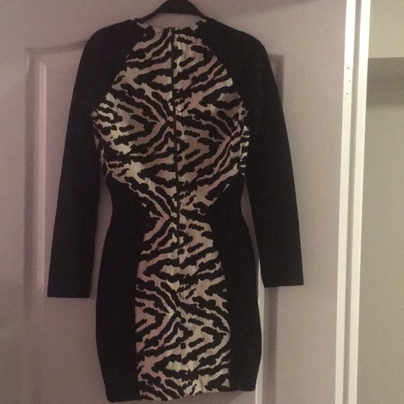 Zebra print long sleeve dress - Picture 2 of 5